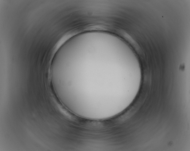 X0000092011370200709271520