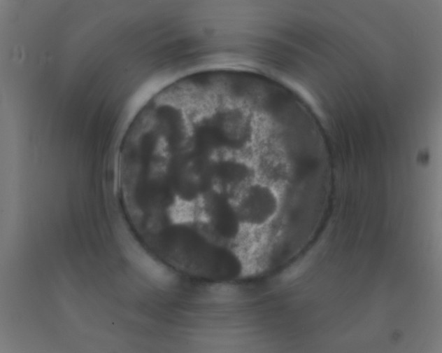 X0000092011371200709271520