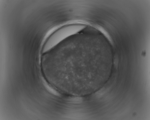 X0000092011372200709271520