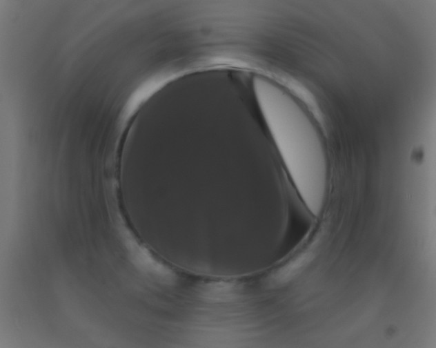 X0000092011373200709271520