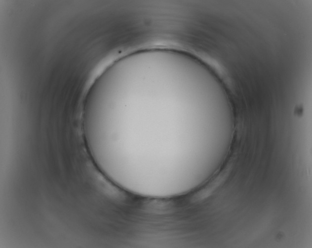 X0000092011374200709271520