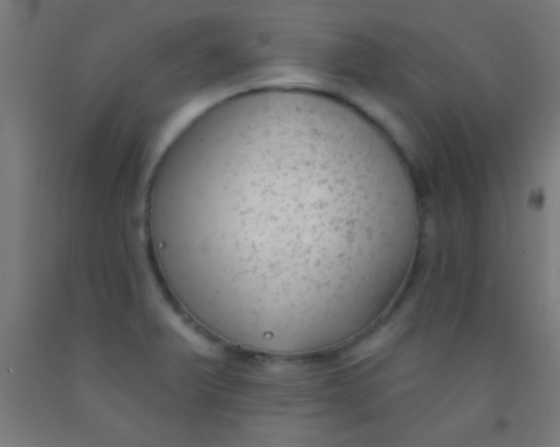 X0000092011375200709271520