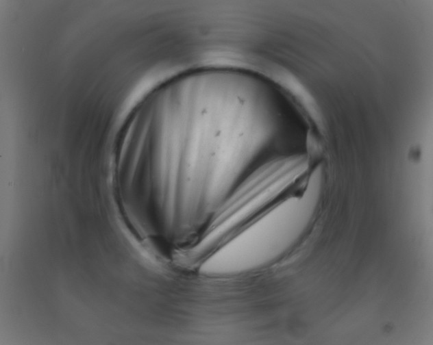 X0000092011376200709271520