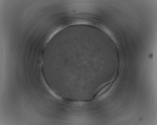 X0000092011377200709271520