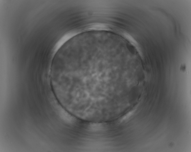 X0000092011378200709271520