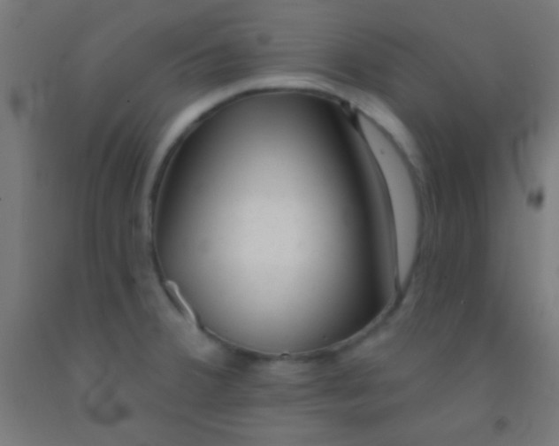 X0000092011380200709271520