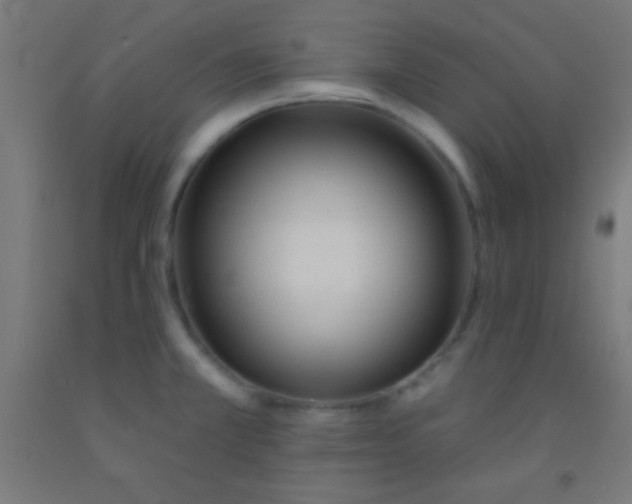 X0000092011381200709271520