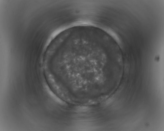 X0000092011382200709271520