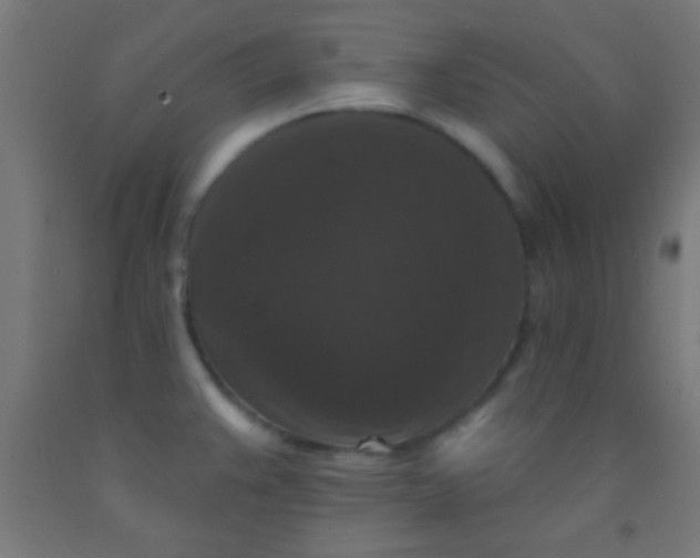 X0000092011383200709271520