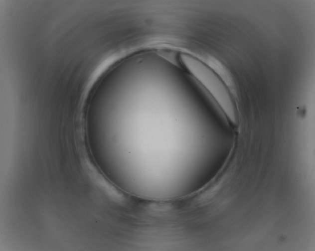 X0000092011384200709271520