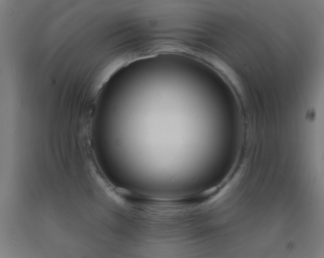 X0000092011385200709271520