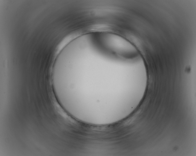 X0000092011386200709271520