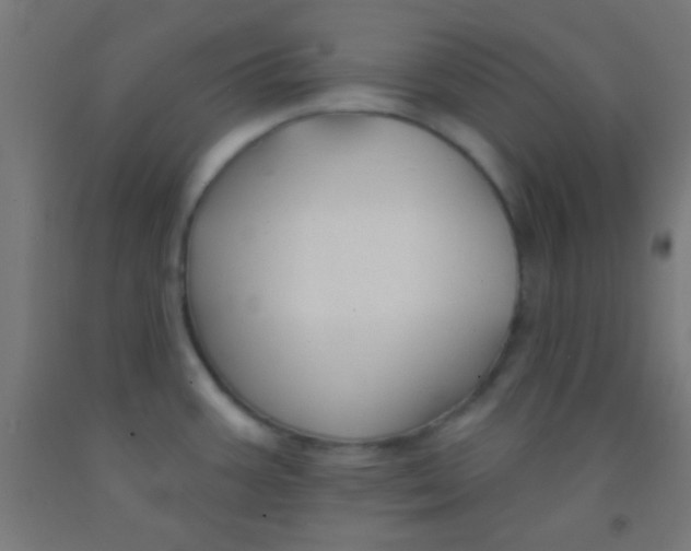 X0000092011387200709271520