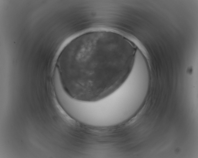 X0000092011388200709271520