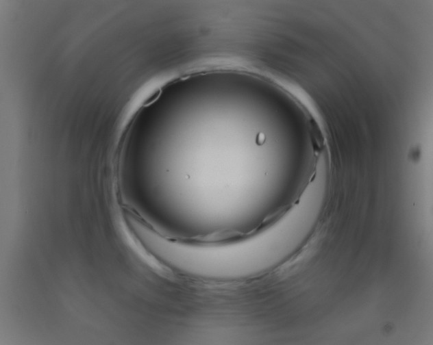 X0000092011389200709271520