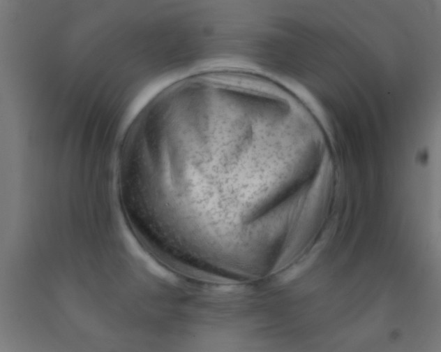 X0000092011390200709271520