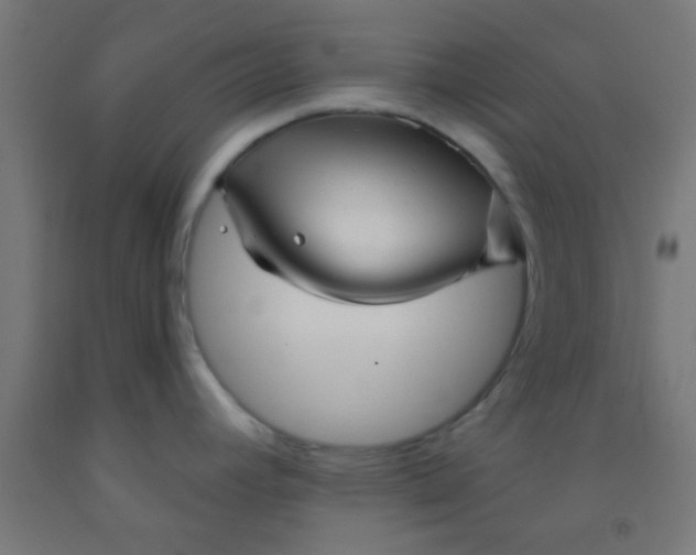 X0000092011392200709271520