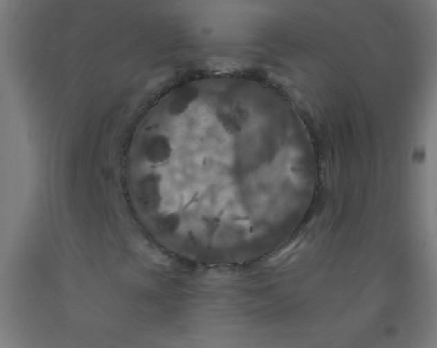 X0000092011393200709271519