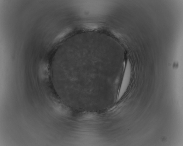 X0000092011394200709271519