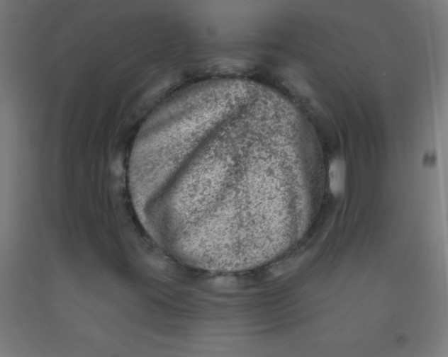 X0000092011395200709271519