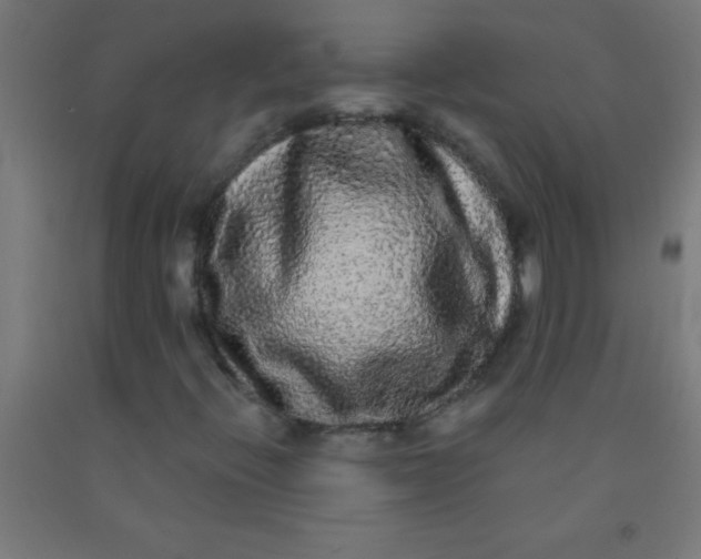 X0000092011396200709271519