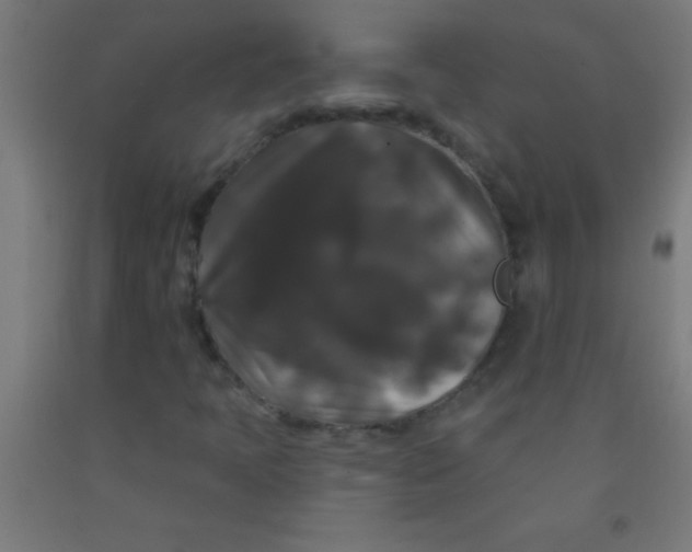 X0000092011397200709271519