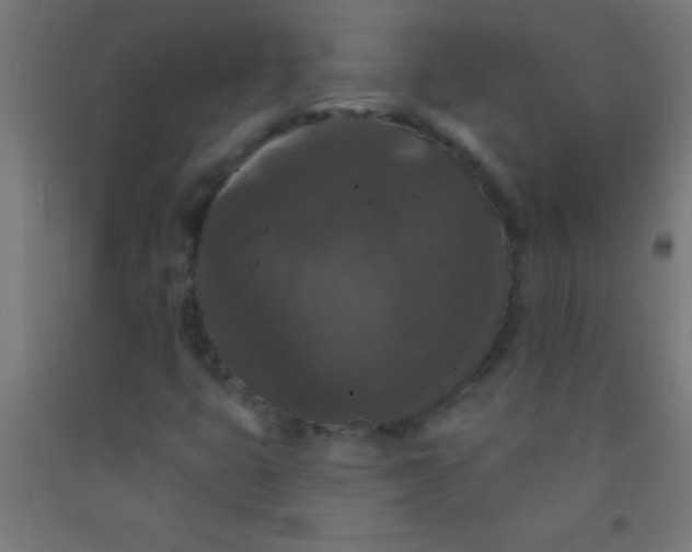 X0000092011399200709271519