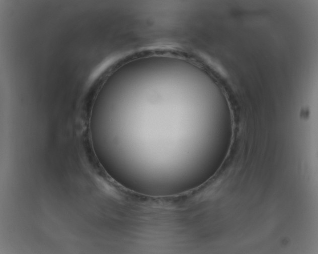 X0000092011400200709271519