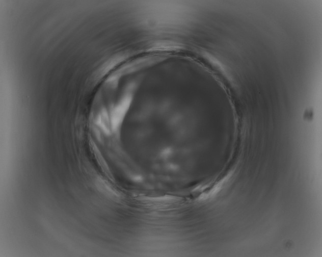 X0000092011401200709271519