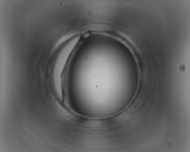 X0000092011402200709271519