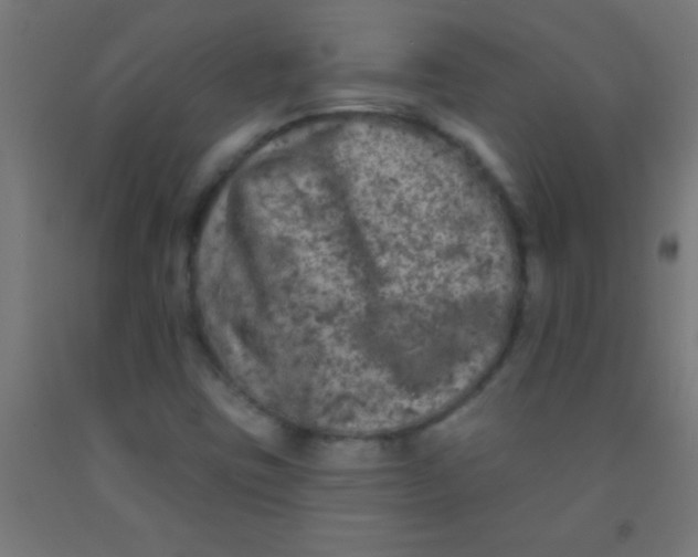 X0000092011403200709271519