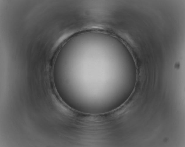 X0000092011404200709271519