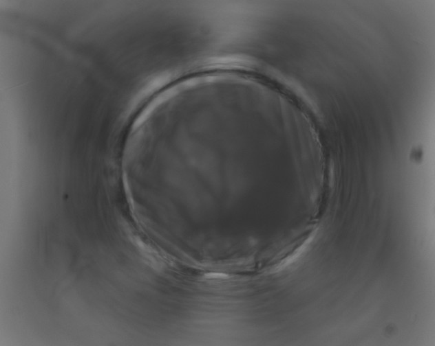 X0000092011405200709271519