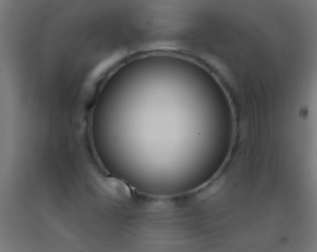 X0000092011406200709271519