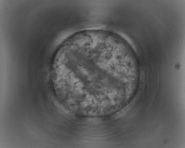 X0000092011407200709271519