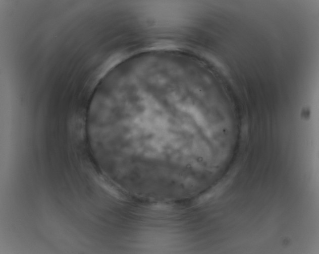 X0000092011409200709271519