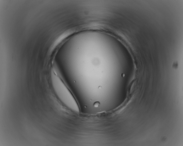 X0000092011410200709271519