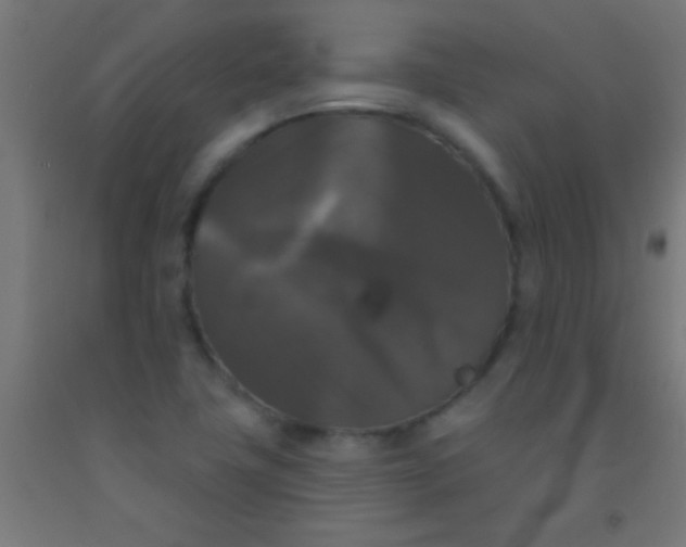 X0000092011411200709271519