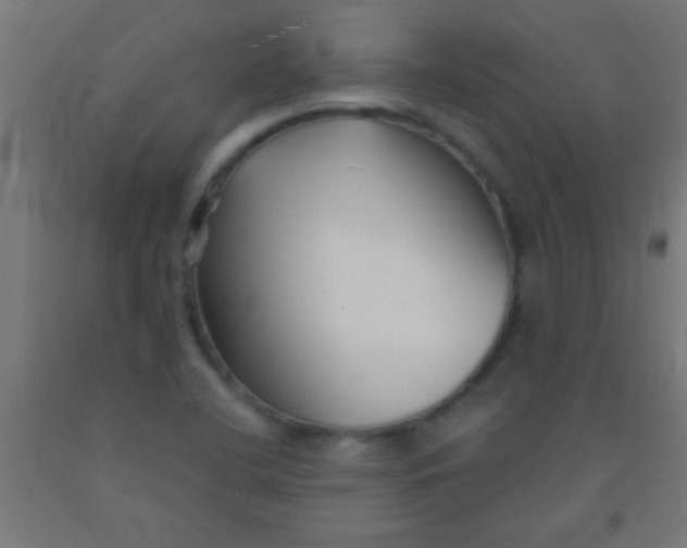 X0000092011412200709271519