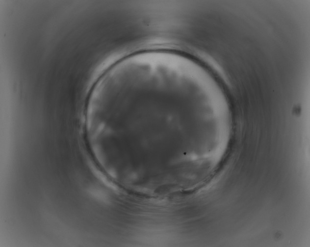 X0000092011413200709271519