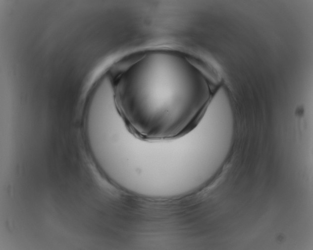 X0000092011414200709271519