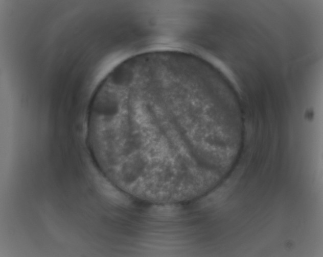 X0000092011415200709271520