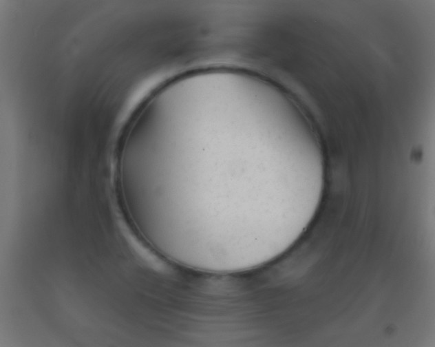 X0000092011416200709271520