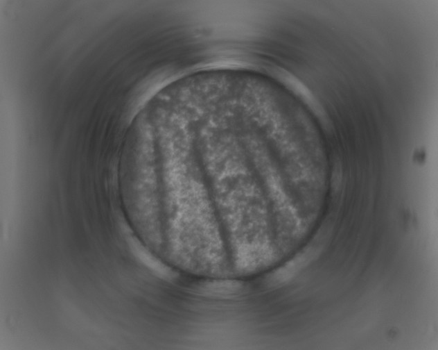 X0000092011417200709271520