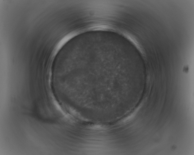 X0000092011418200709271520