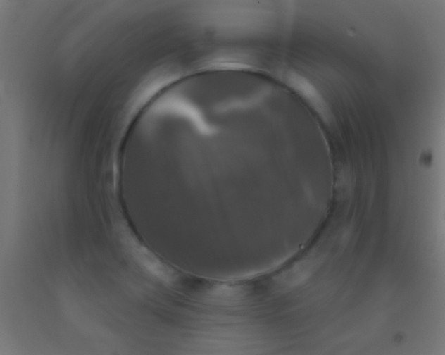 X0000092011419200709271520