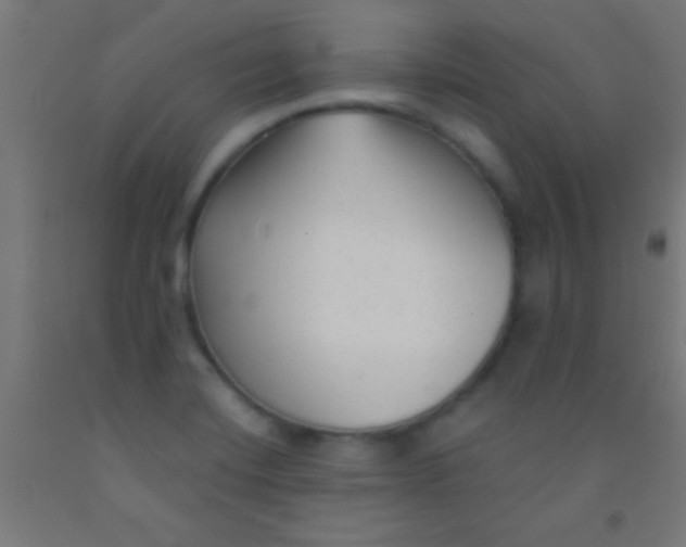 X0000092011420200709271520