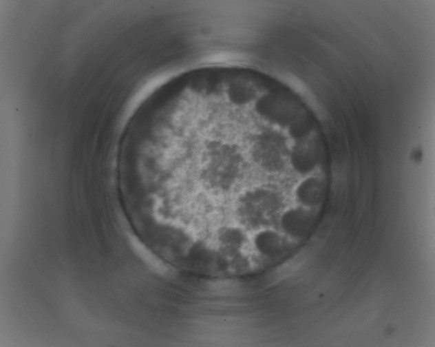 X0000092011421200709271520