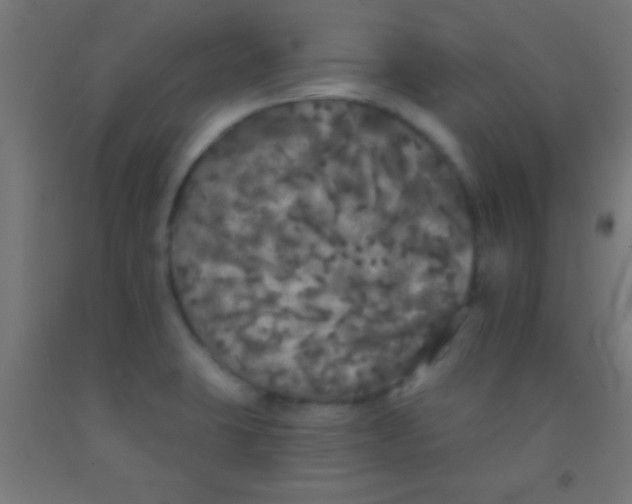 X0000092011423200709271520