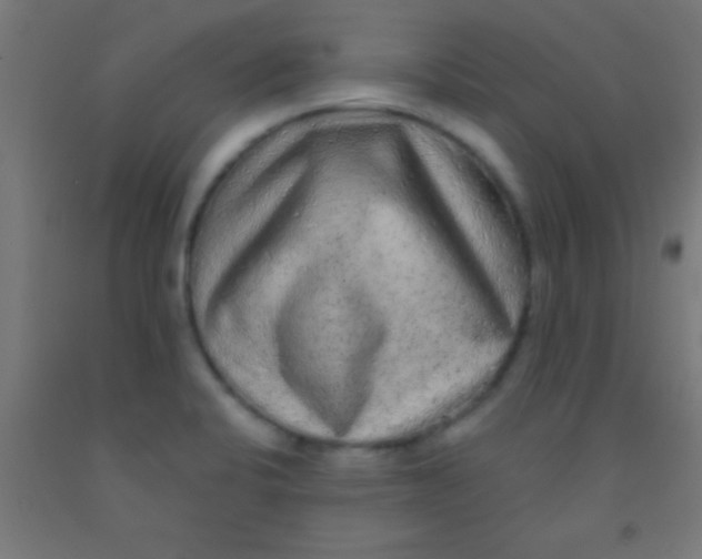 X0000092011424200709271520